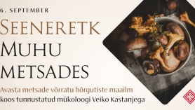 Seeneretk Muhu metsades Veiko Kastanjega