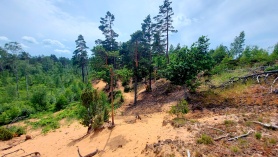 Kuumimägi