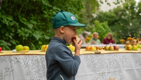 Õunakohvikute päev